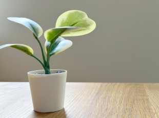 お客様写真 Vol.9